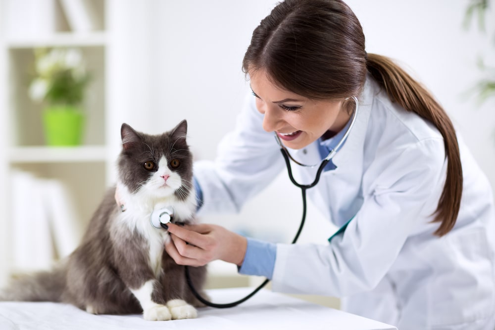 Veterinary medicine 