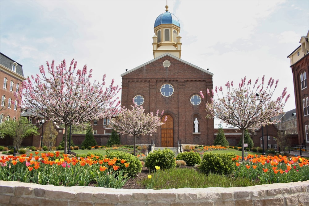 university of dayton - cheapest online mba