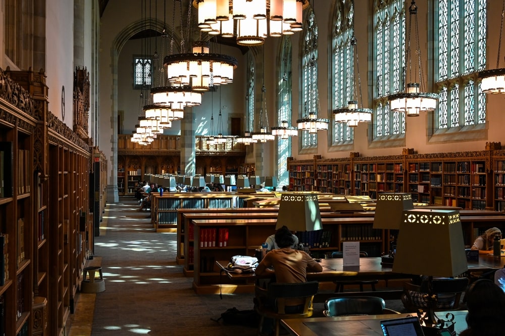 yale university
